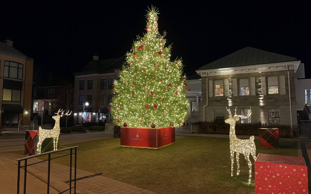 Christmas Lights in Oakville 2023