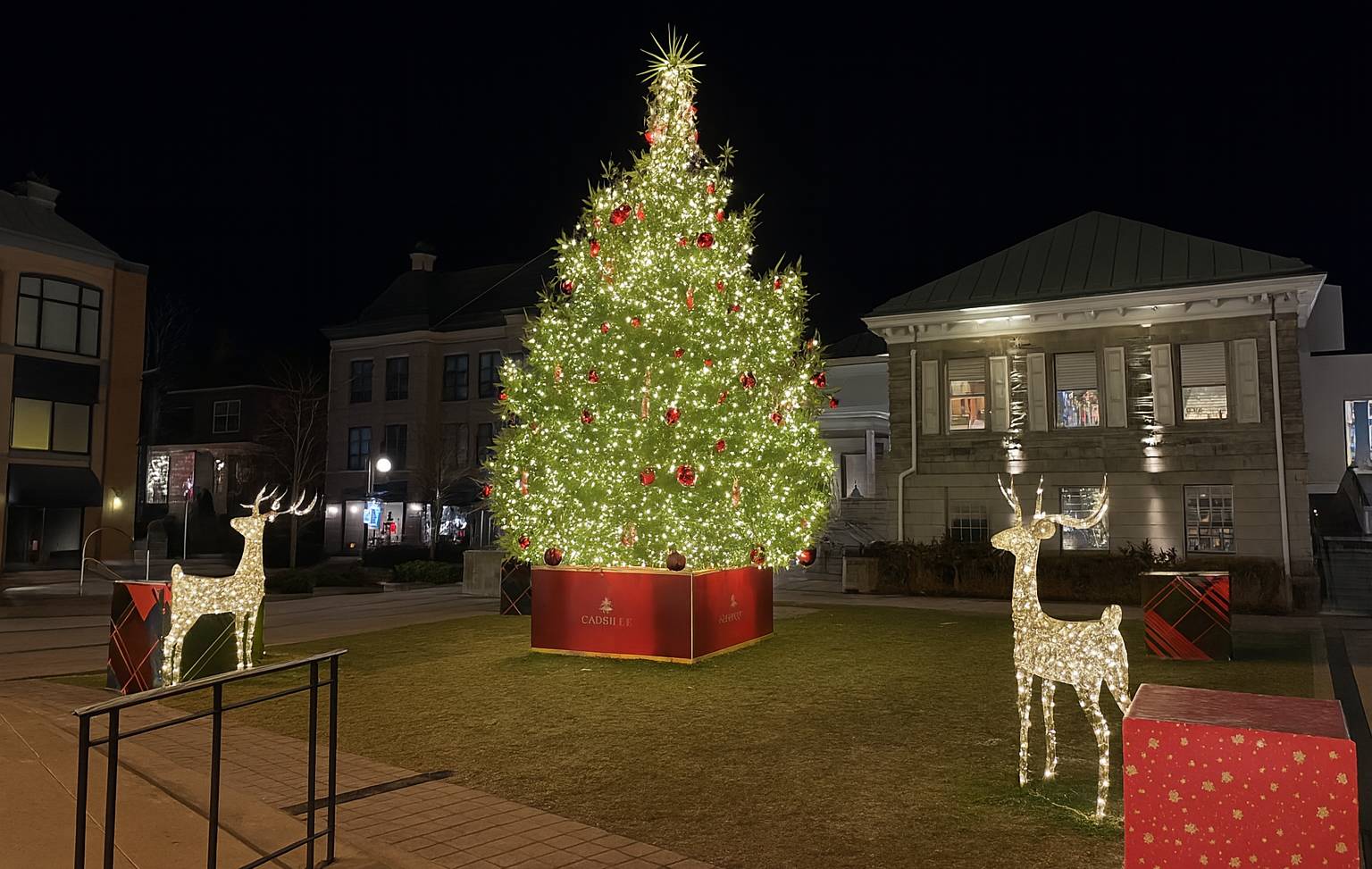 Christmas Lights Oakville 2023