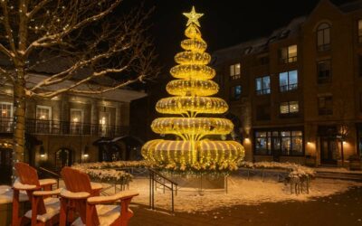 Christmas Lights in Oakville 2024