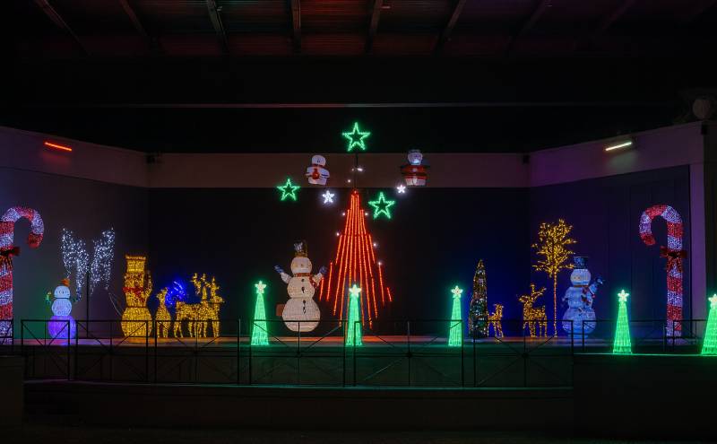 Christmas Lights Oakville 2024 Pic