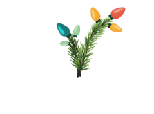 DeVos Holiday Lights